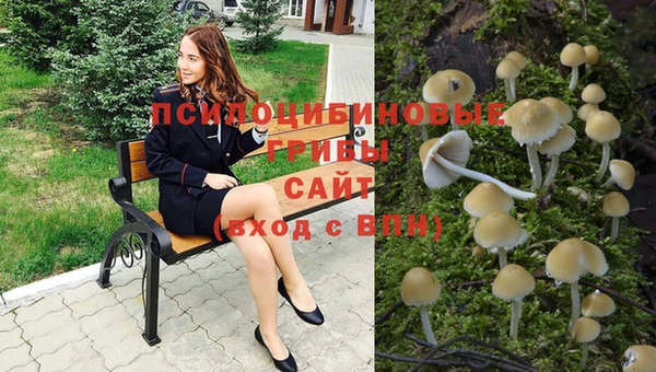 спиды Волосово