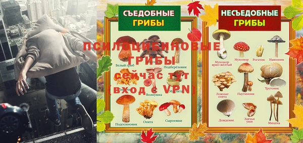 apvp Волоколамск