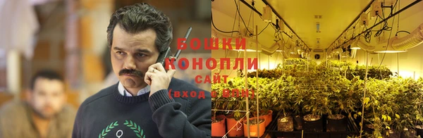 спиды Волосово