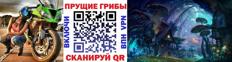 Купить где  Среднеколымск  Псилоцибиновые грибы Psilocybe 